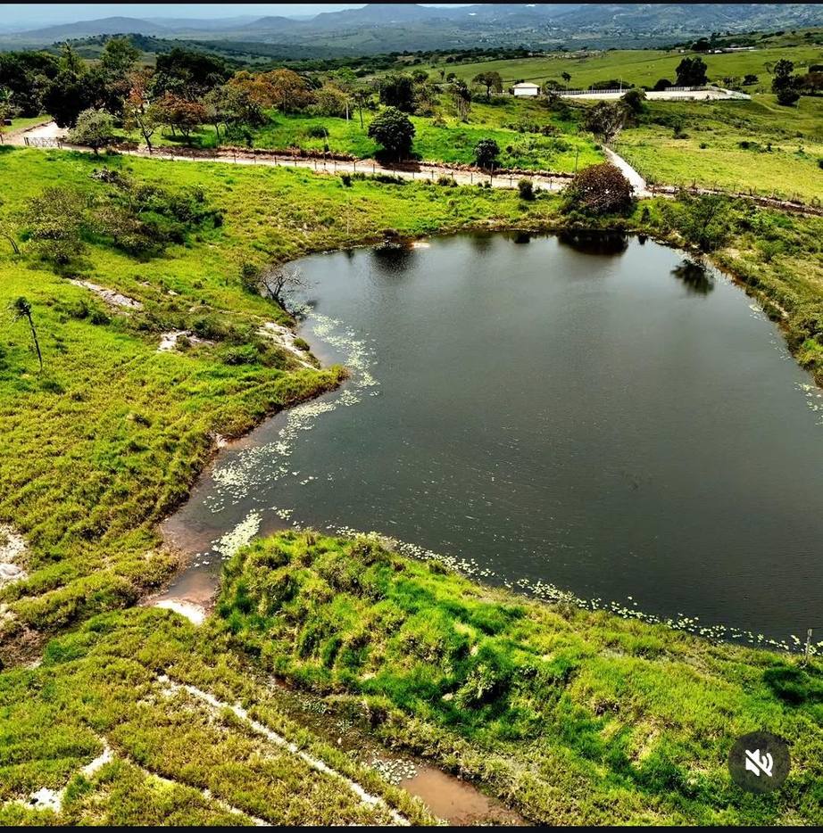 Fazenda em sairé. Pernambuco